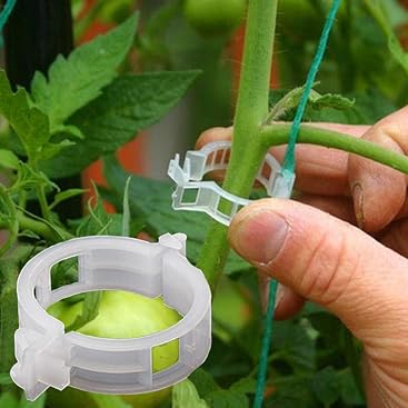 Yanhonin - 50 Unidades de 25 mm para Plantas de jardín, con Clip ...