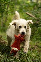 Petface Saffia Squirrel Crinkle Dog Toy Pack of 1 view 4