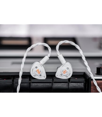 Amazon.com: LEAUDIO DUNU DK3001 BD 1DD+4BA+4Planar in-Ear