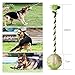 TC JOY Dog Toy Ball with Rope, 3 Inches Interactive Dog Chew Toy, Good for Aggressive Chewers, Healthy and Safe for Large Dogs