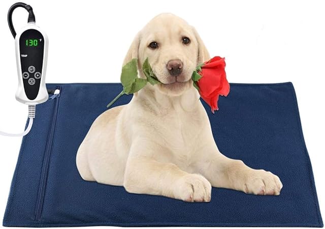 wooden back door with cat flap