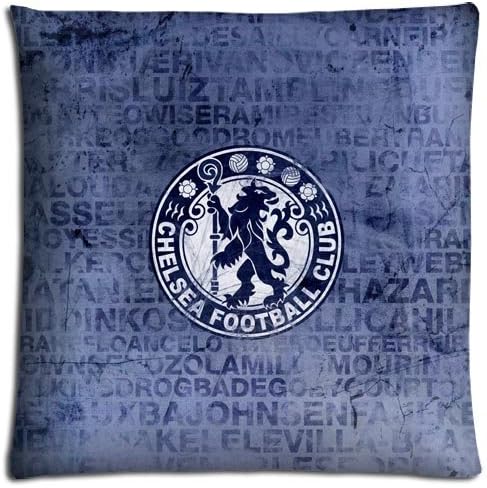 Super Zippered Cotton Polyester BACTERIA RESISTANT chelsea Floor Pillow Protector Case 16x16 inch 40x40 cm