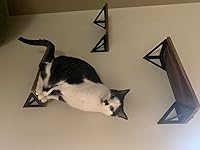 Review Image by Emmy Emmy