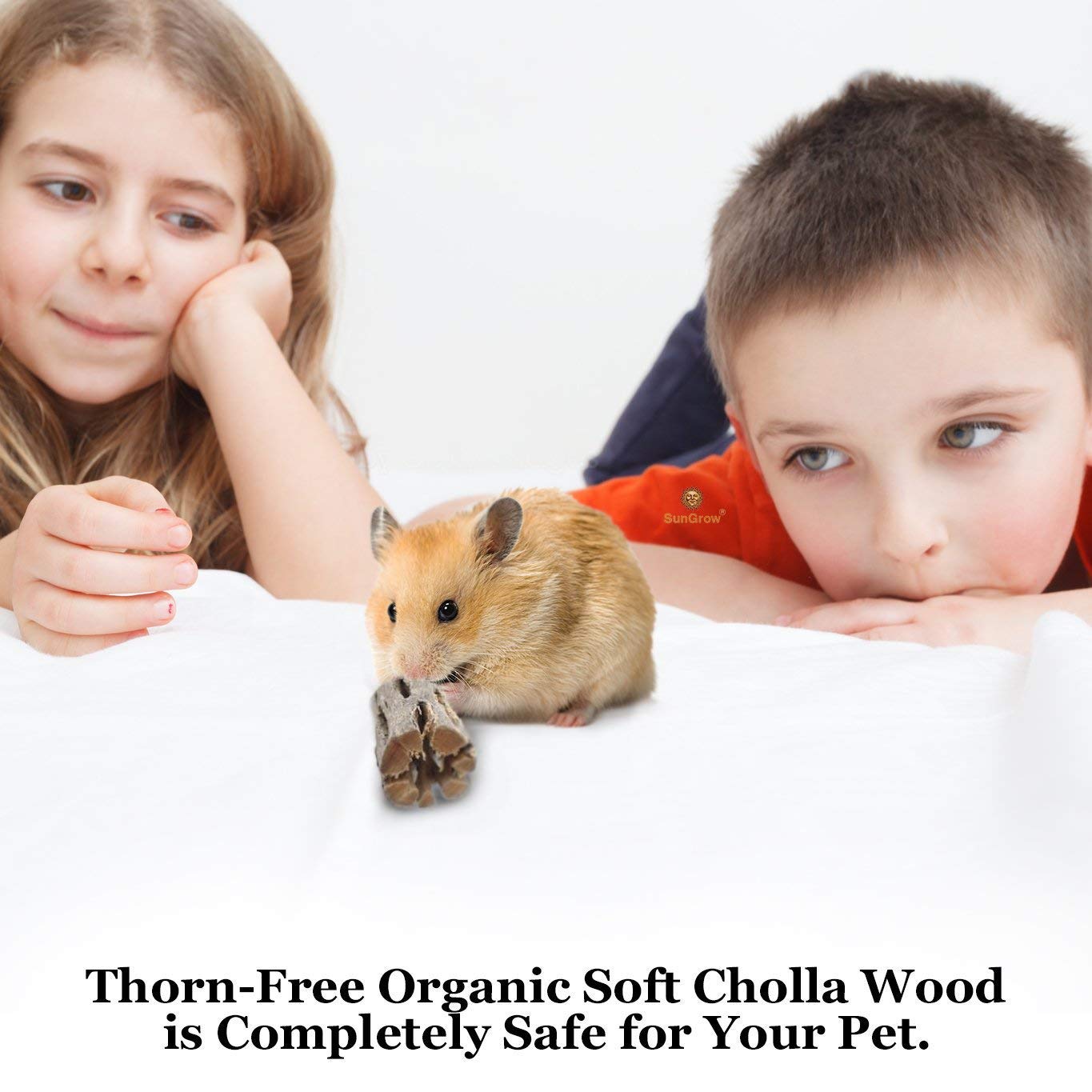 6-pcs Natural Cholla wood for Hamsters by SunGrow - 100% Organic soft wood, Non-Toxic, Pesticide-Free, Thorn-free - Chew toy for ferrets, guinea pigs, gerbils, mice, chinchillas - Perfect for climbing