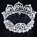Stuffwholesale Girl Tiaras Silver Rhinestone Crystal Crown Pearl Prom Party Hair Wear with Bobby Pins (Crystal )