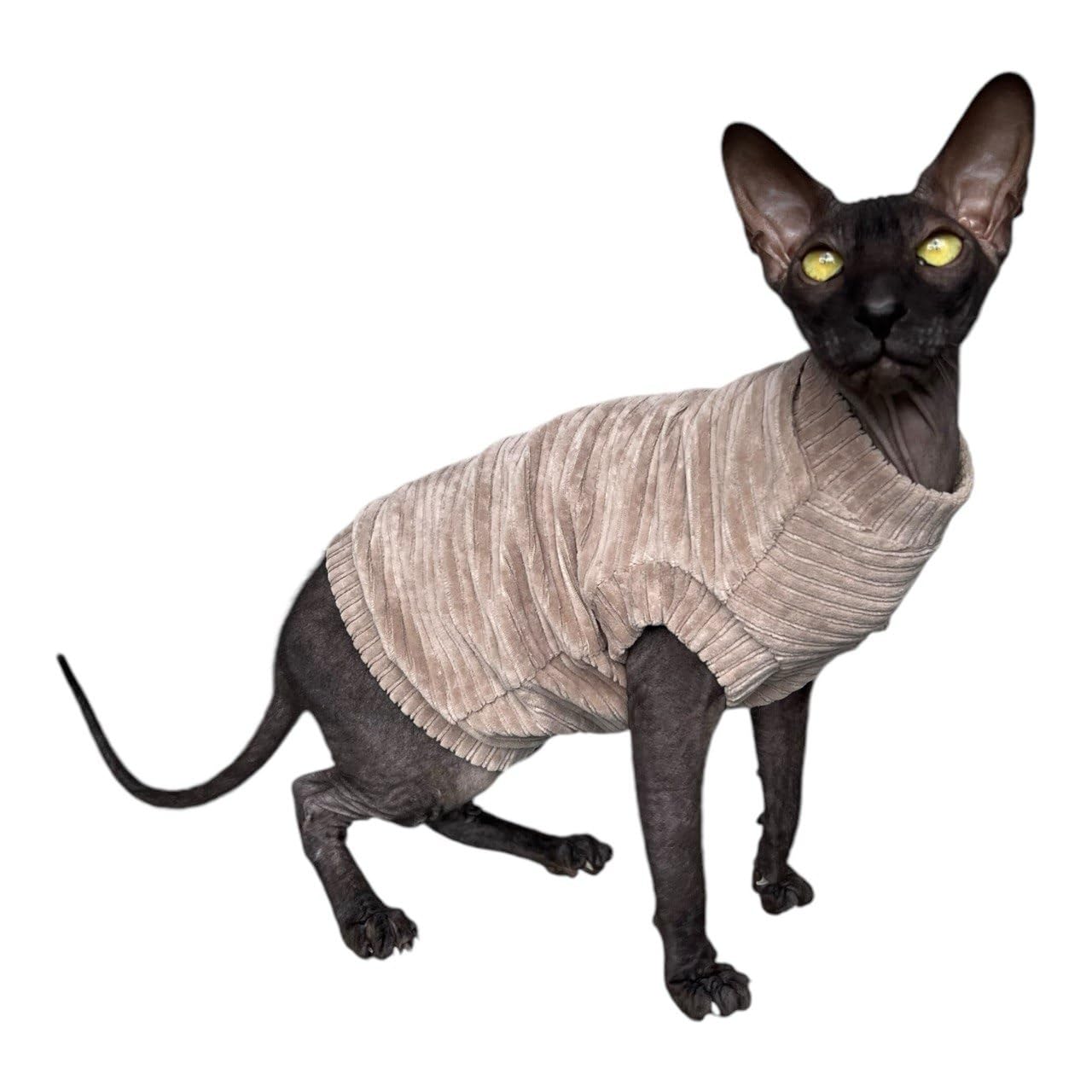 Kotomoda Cat's T-shirt Corduroy for Sphynx and naked cats (Medium, Taupe)