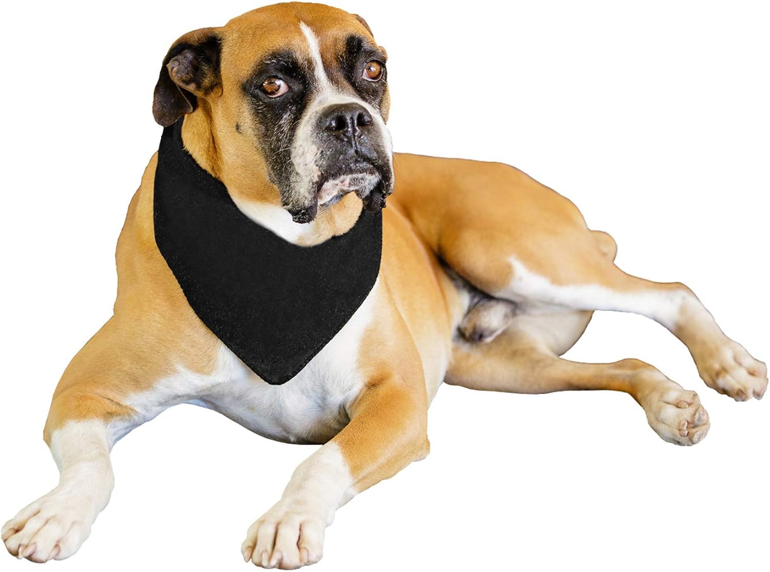 extra large dog bandanas