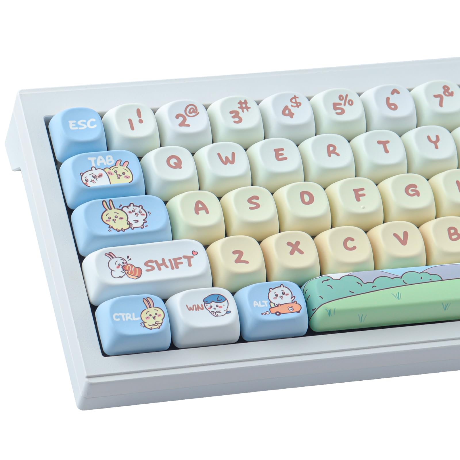 TYRIXKI PBT Keycaps 145 Keys MOA Profile Cute