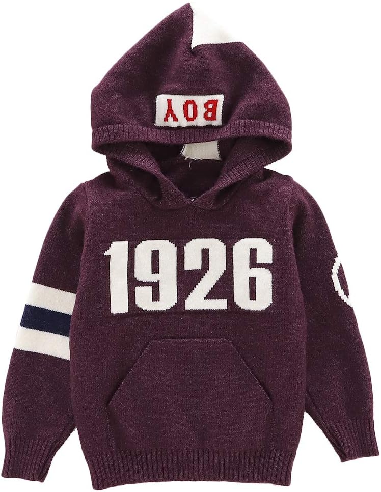 Moonnut Baby Boys Pullover Hoodie Toddler Hooded Sweatshirt with Pocket Sweater Casual Tops, 2T Purple