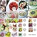 Cakie TANGCHU, 29 PCS, CakieA3W4ERFG