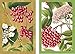 Caspari Entertaining Double Deck of Bridge Playing Cards, Jumbo Type, Berry Chintz