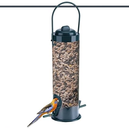 Amazon Com Delaman Bird Feeder Plastic Transparent Hanging Wild