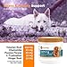POINTPET Natural Stress and Anxiety Relief for Dogs, Soft Chewable Calming Aid - Helps with Separation Anxiety, Travel and Motion Sickness, Storms, Fireworks - Dog Anxiety Supplement, 60 Soft Chews