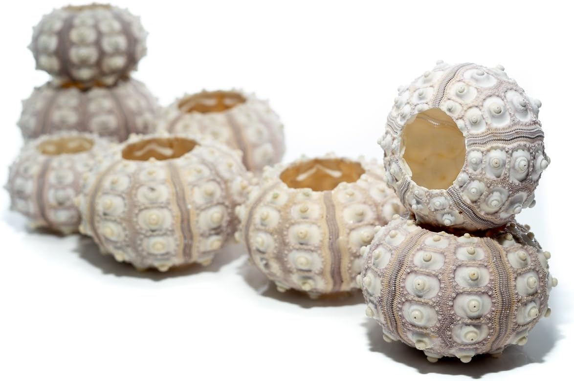 Download Nautischthemenorientiertes spiegel For Free Nautischthemenorientiertes Spiegel