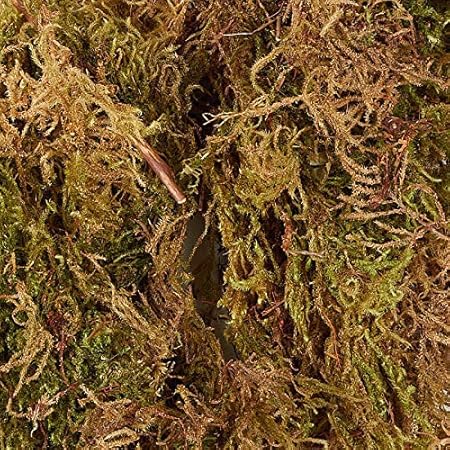 Sphagnum Moss for Plants 1kg