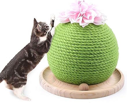 circle cat scratcher