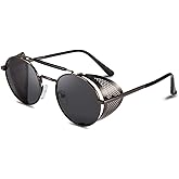 FEISEDY Steam Punk Sunglasses for Men Women Side Shield Round Steampunk Vintage Glasses Shades B2518