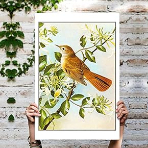 Canvas Wall Art Birds on The Branch Canvas Prints Home Artwork Decoration for Living Room,Bedroom - 12x18 inches