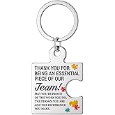 DRMNPKT Team Appreciation Gifts for Coworkers Employees Colleague, Thank You Keychain Inspirational Gifts for Team Staff Teachers Nurse, Teamwork Puzzle Piece Metal Keychains