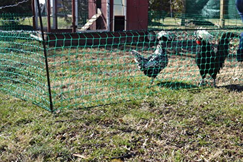 RentACoop Fencing Kit (60'L x 5'H)