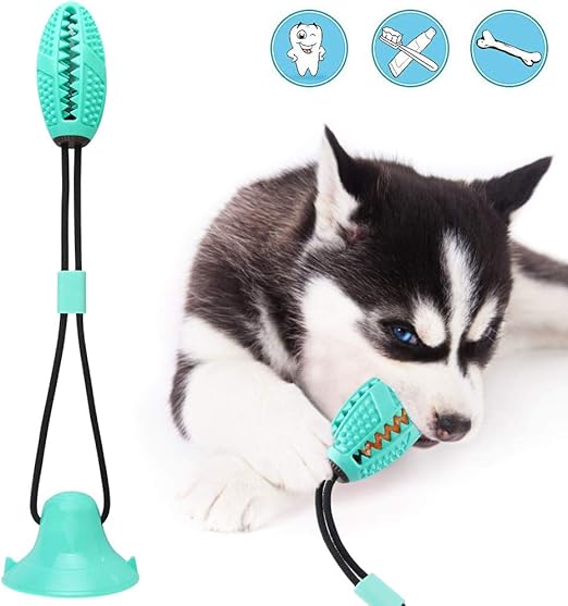 juguete ventosa para perros