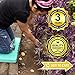 Clicks Depot Thick Garden Kneeling Pads, Garden Gloves Included, Multi-Purpose Kneeling Mat, Feel The Comfort with Clicks Affordable Knee Cushion