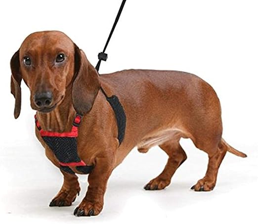 anti pull dog harness amazon