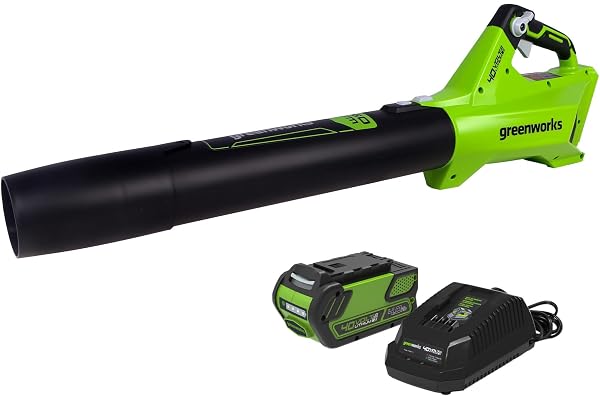 Greenworks 40V Cordless Leaf Blower (125 MPH /450 CFM) / Turbo Mode Electric Jet Blower, High Power, Lightweight & Quiet for