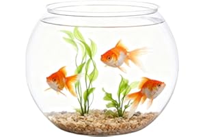 Fish Bowl Vase,Shatter-Resistant Aquarium Small Container | Bubble Planter Bowl - for Table Centerpiece Party Decorations Hom