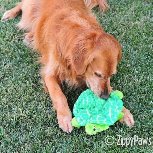 ZippyPaws Squeakie Crawler 6-Squeaker Plush Dog Toy, Slow Poke The Turtle
