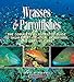 Wrasses & Parrotfishes (Reef Fishes) by Scott W. Michael