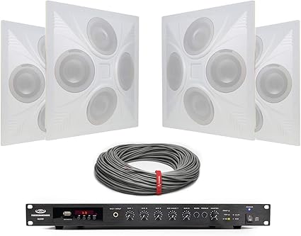 bought house with ceiling speakers