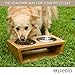 Petlo Elevated Dog and Cat Pet Feeder, Double Bowl Raised Stand Comes with Extra Two Stainless Steel Bowls (Small)