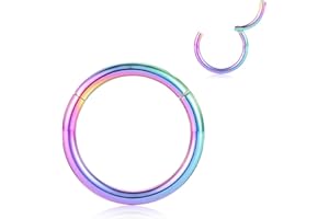 FUNLMO 316L Surgical Steel Hinged Nose Rings Hoop 20G 18G 16G 14G 12G 10G 8G 6G 4G 2G 0G 00G Piercing Ring for Nose Septum Cartilage Helix Tragus Conch Rook Daith Lobe 5mm to 16mm 1Pc