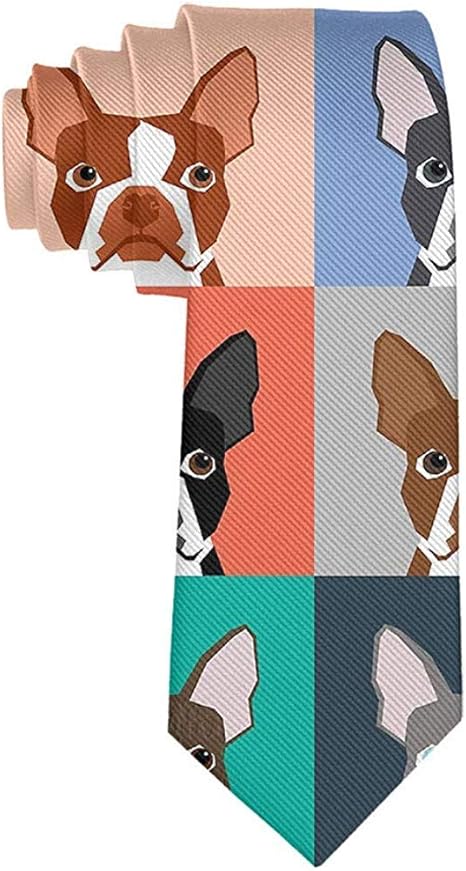 skinny boston terrier