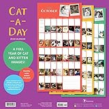 Image de 2018 Cat-A-Day Wall Calendar