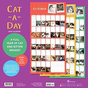2018 Cat-A-Day Wall Calendar