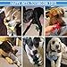 Dog Rope Toys Cute Animals Design, Cotton Puppy Toys for Small Dogs. Rope Dog Toy Set pack of 6