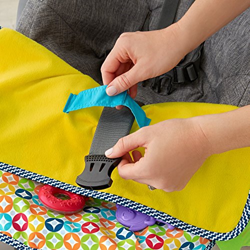 Fisher-Price On-The-Go Activity Throw