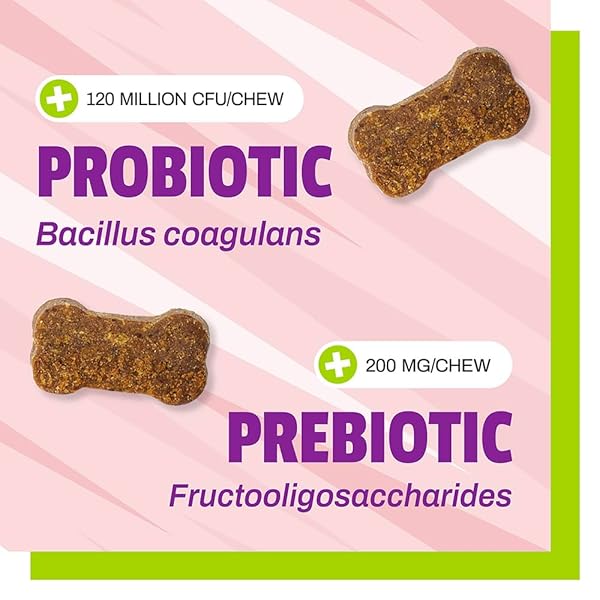 PET NATURALS DAILY PROBIOTIC FOR DOGS, 120M CFUS – PRE AND PROBIOTICS FOR DOGS DIGESTIVE HEALTH, GUT HEALTH, IMMUNE SUPPORT, DIARRHEA, ALLERGIES AND ITCHING – 60 CHEWS, DUCK FLAVOR