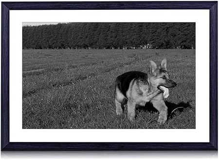 Amazon Co Jp ジャーマンシェパードの子犬 動物 415 白黒の絵画 装飾画 壁飾り アートパネル インテリアアート 木製の枠 壁ポスター モダン 現代壁の絵 額縁付きの完成品 横 40 60cm ホーム キッチン
