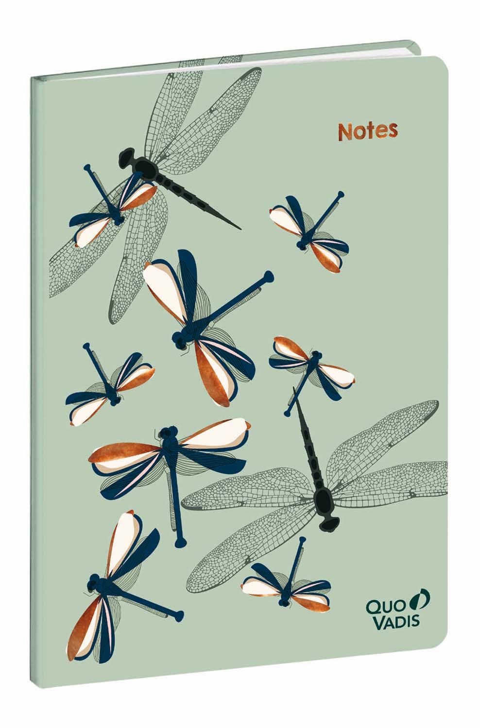QUO VADIS Notebook 21 d-lig Fly Naked Butterfly Rase V