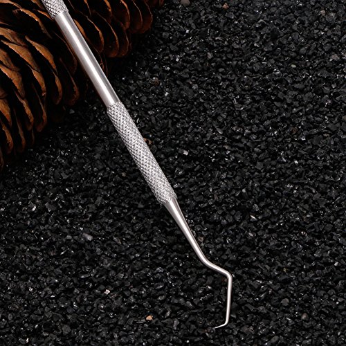 Hot Double Hook Tooth Dental Explorer Probe Materials Dentalist Dentist Tool Set