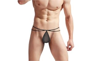 Men's Exotic Sheer Mesh Briefs Transparent Underwear Comfortable Stretch Fit