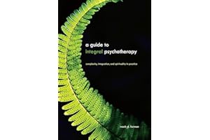 A Guide to Integral Psychotherapy: Complexity, Integration, and Spirituality in Practice