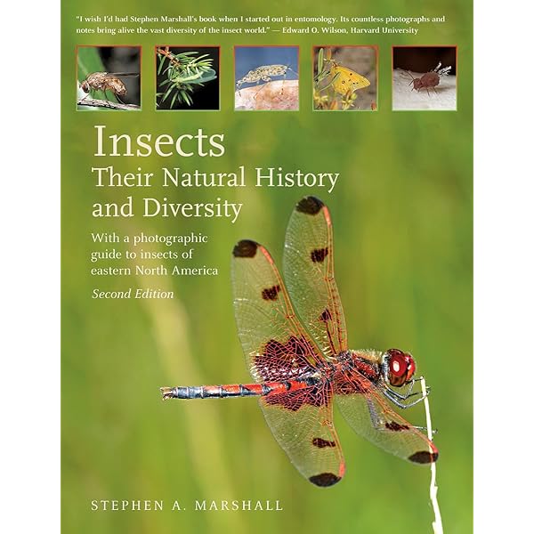 Amazon.com: The Insects: Structure and Function: 9780521113892