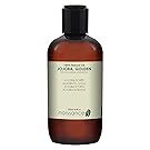 Naissance Cold Pressed Golden Jojoba Oil 250ml - Pure & Natural, Unrefined, Vegan, Hexane Free, No GMO - Ideal for Aromatherapy and as a Massage Base Oil - Moisturises & Conditions Hair & Skin