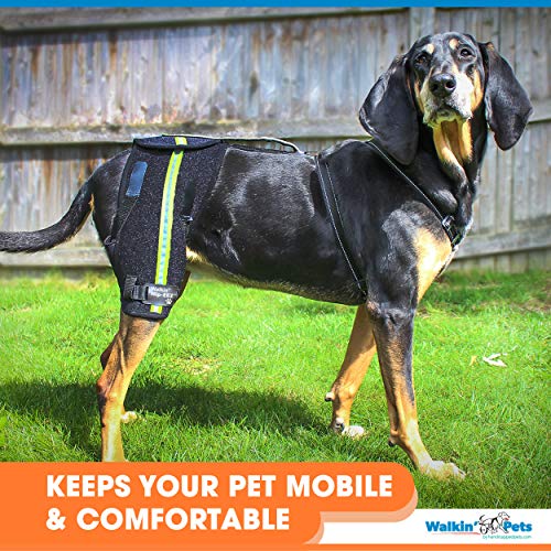 Walkin-Hip-EEZ-Dog-Hip-Brace-Support-Harness-System-Provides-Joint-Support-for-Dogs-with-Hip-Dysplasia-and-Other-Conditions-Affecting-The-Hip-Joint