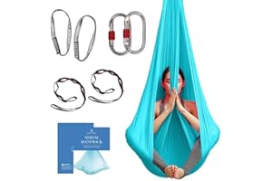 aum active Aerial Yoga Hammock - Durable Aerial Silk with Extension Straps, Carabiners, and Pose Guide - Aerial Silks for Home, Antigravity Yoga, Inversion Exercises, Yoga Starter Kit for All Levels