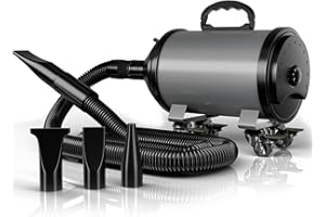 BLANLODY Car Dryer Air Blower, Car Dryer with 2-Speed Adjustable Airflow, Car Blower for Drying with 16 ft Flexible Hose, Detailing Air Blower with 140°F High-Heat for Car Motorcycle and Pet Dryer Blower